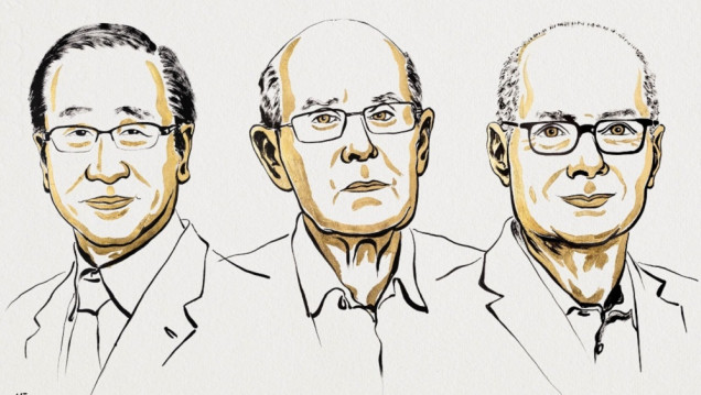 imagen Por qué ganaron el Nobel de Química los creadores de las estructuras metalorgánicas