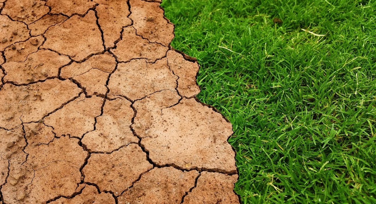 imagen "Es el momento de la acción": limitar el calentamiento global requiere cambios de estilos de vida