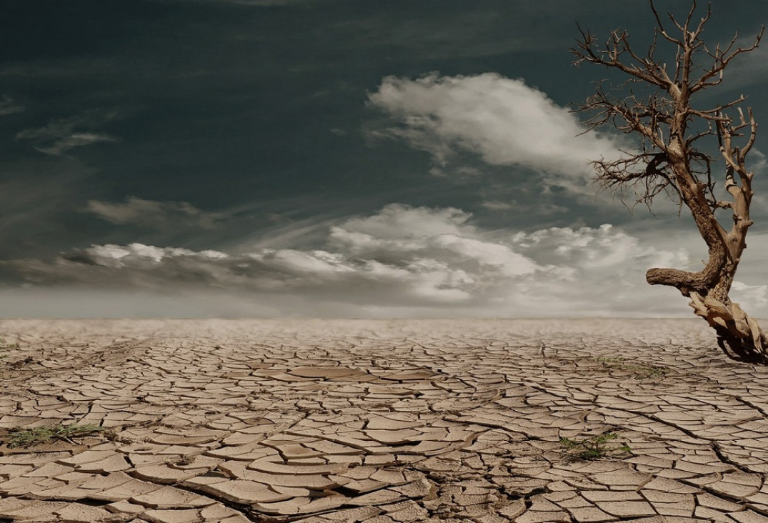 imagen Cambio climático: en Argentina se refleja un "aumento generalizado de los eventos extremos"