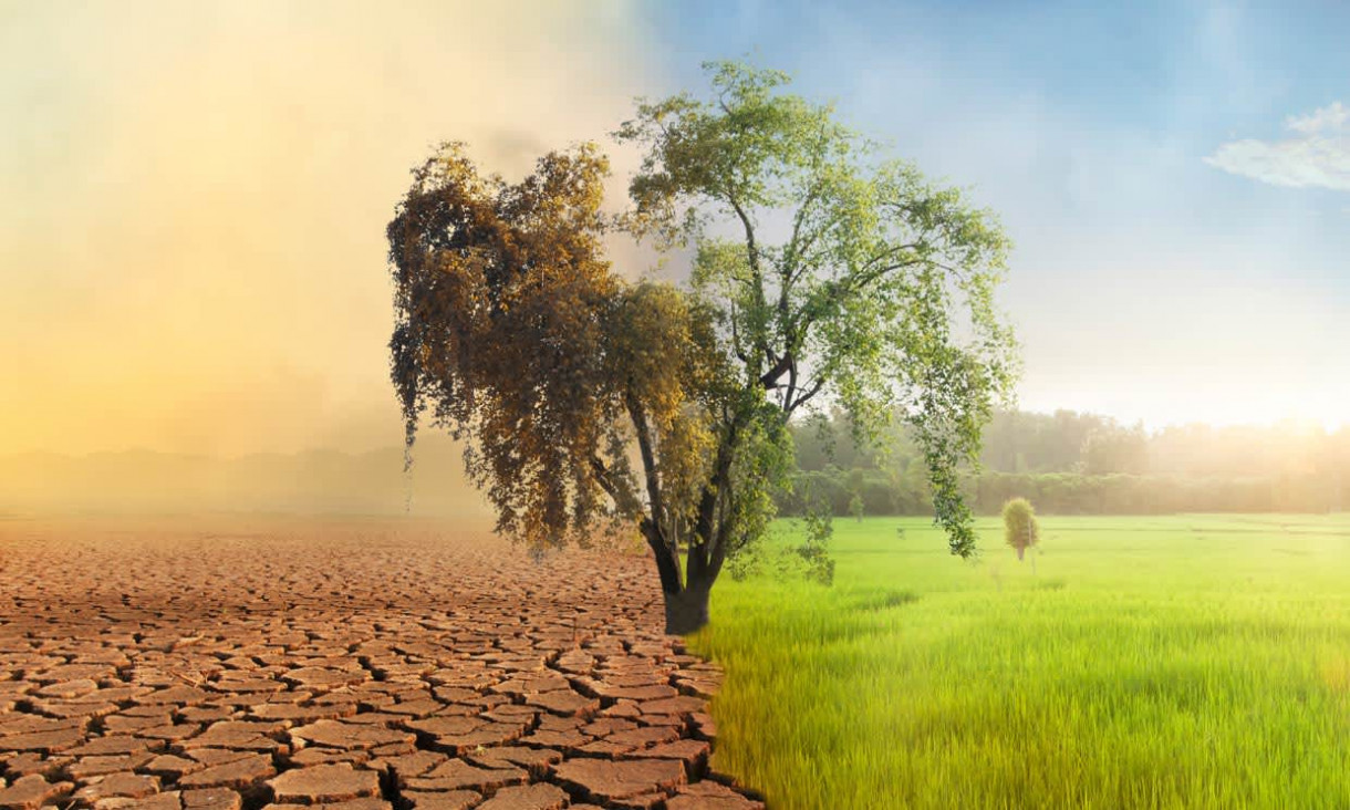 imagen Cambio climático y Mendoza: por qué la acción por el clima es más que urgente 
