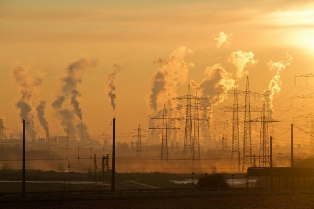 imagen Una alianza de universidades propone que estudiantes se involucren con el cambio climático 