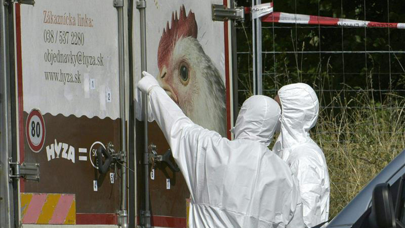 imagen Austria: encuentran 70 inmigrantes muertos en un camión frigorífico