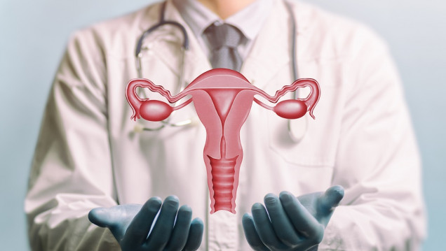 imagen Según un estudio, los microbiomas son indicadores para la detección precoz del cáncer de ovarios