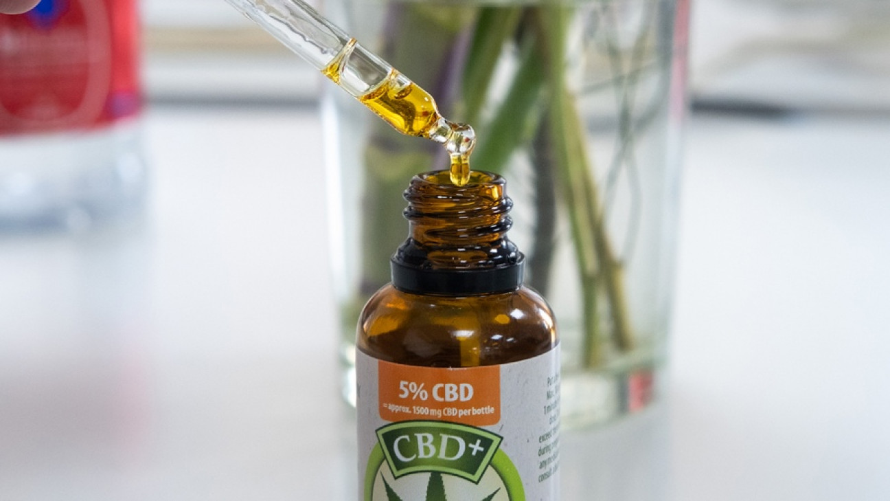 imagen La Justicia revocó un fallo de autocultivo de cannabis medicinal