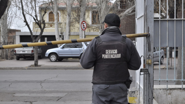 imagen El árbol que tapa el bosque de la inseguridad