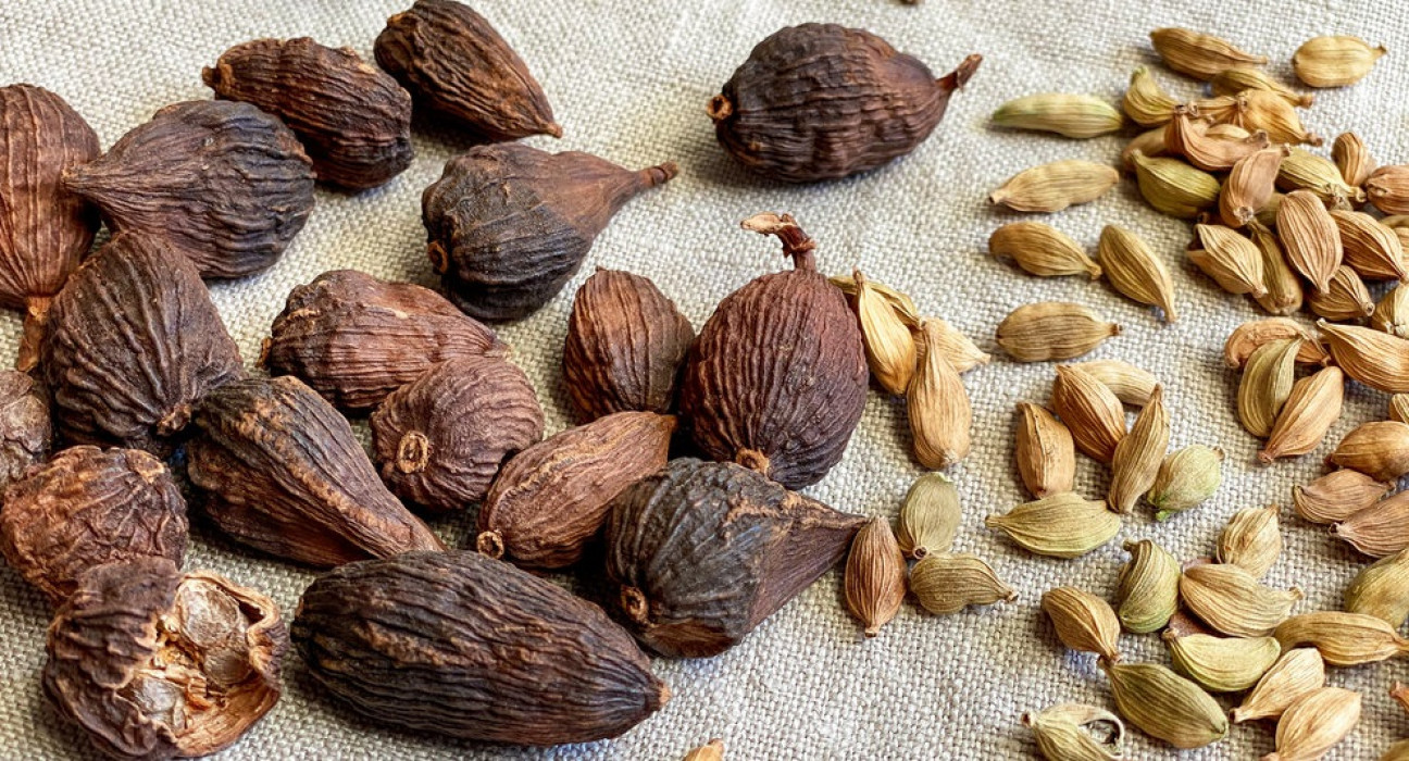 imagen La ciencia investiga la medicina ayurveda: analizan el potencial del cardamomo negro contra el cáncer de pulmón 