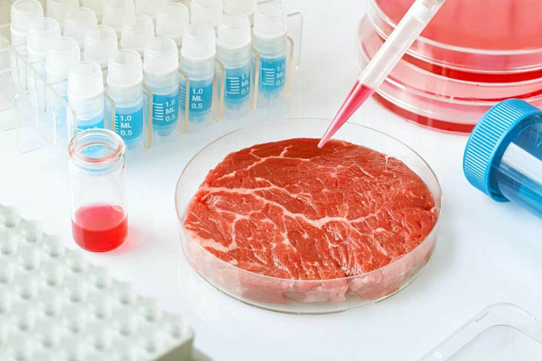 imagen Proponen aumentar el consumo de carne artificial para reducir emisiones de CO2 y la deforestación