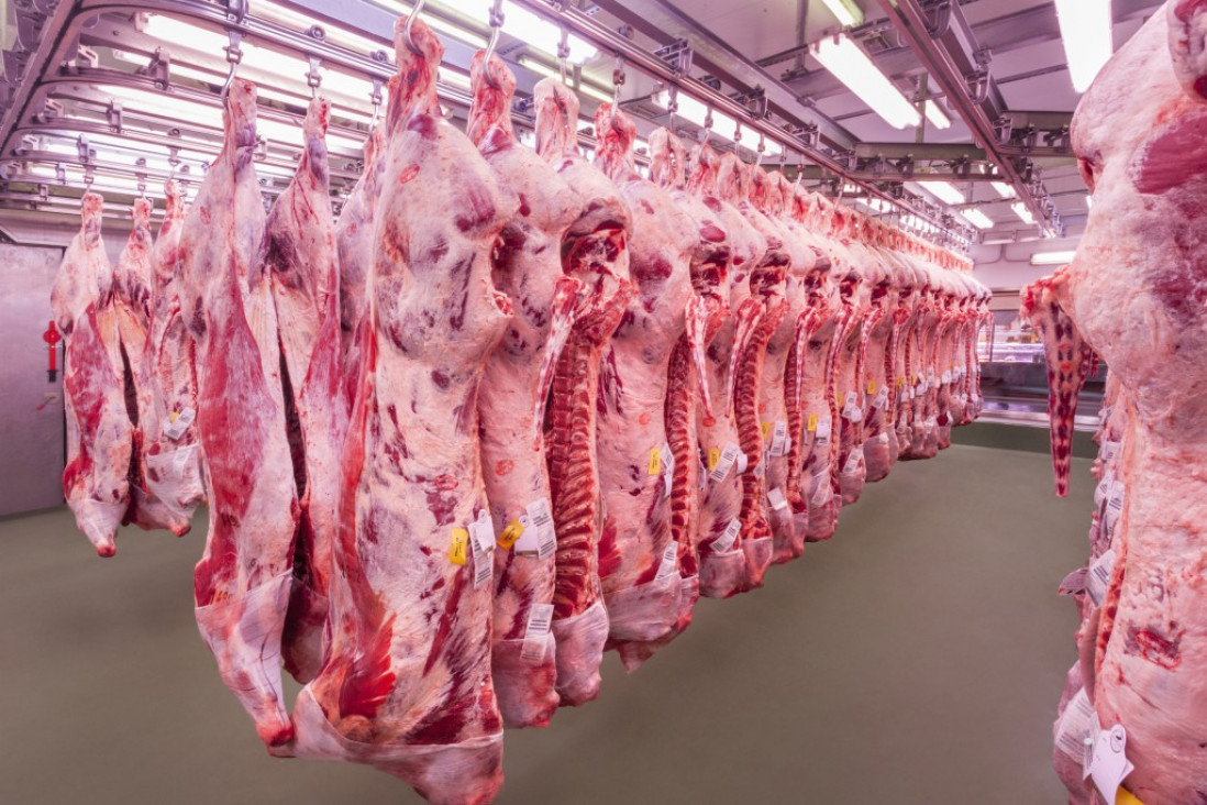 imagen El aumento de la carne podría llegar al 8% en Mendoza