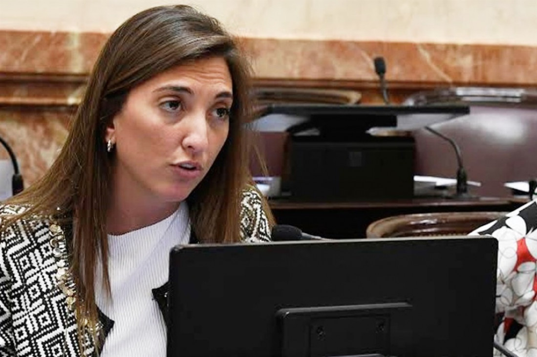 imagen Aborto legal: la ausencia de una senadora que podría definir la suerte del proyecto