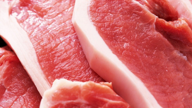 imagen Fuerte rechazo a la importación de cerdo de Estados Unidos