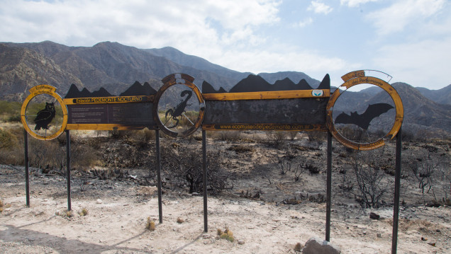 imagen Así quedó el Cerro Arco después del incendio