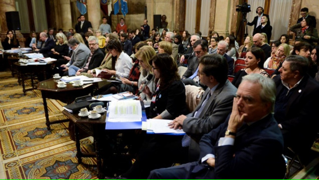 imagen Fuertes cruces en la audiencia pública del Senado