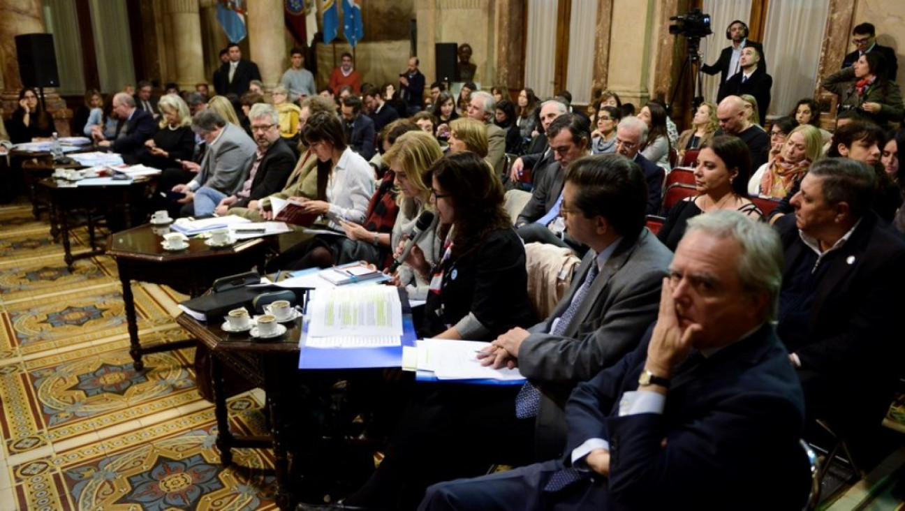 imagen Fuertes cruces en la audiencia pública del Senado