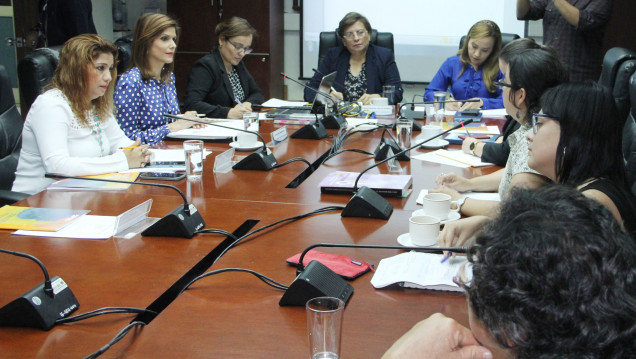 imagen Arrancó el tratamiento del proyecto de equidad salarial de género