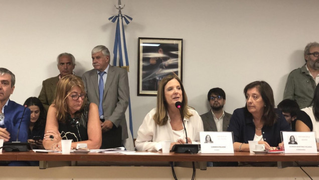 imagen Postergan una semana el dictamen sobre una nueva ley de vacunas