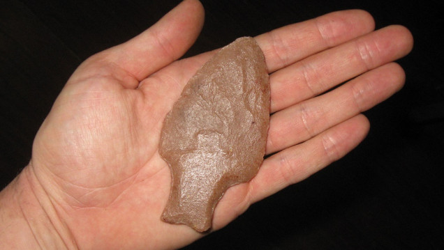 imagen Determinaron que las armas "cola de pescado" causaron la extinción de la megafauna en Sudamérica