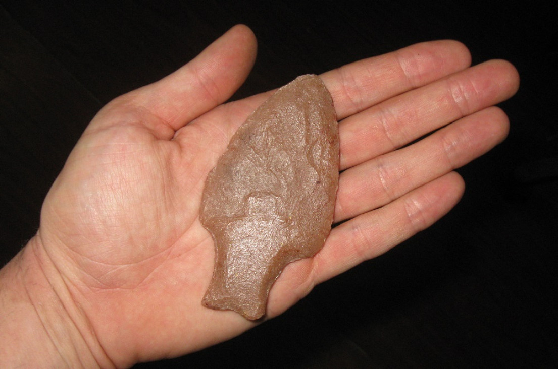 imagen Determinaron que las armas "cola de pescado" causaron la extinción de la megafauna en Sudamérica