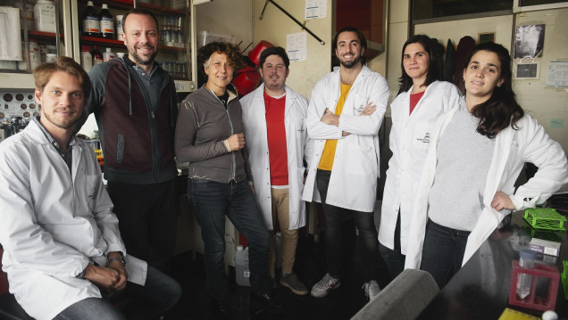 imagen Una dosis diferente de refuerzo aumenta la inmunidad contra ómicron en personas mayores