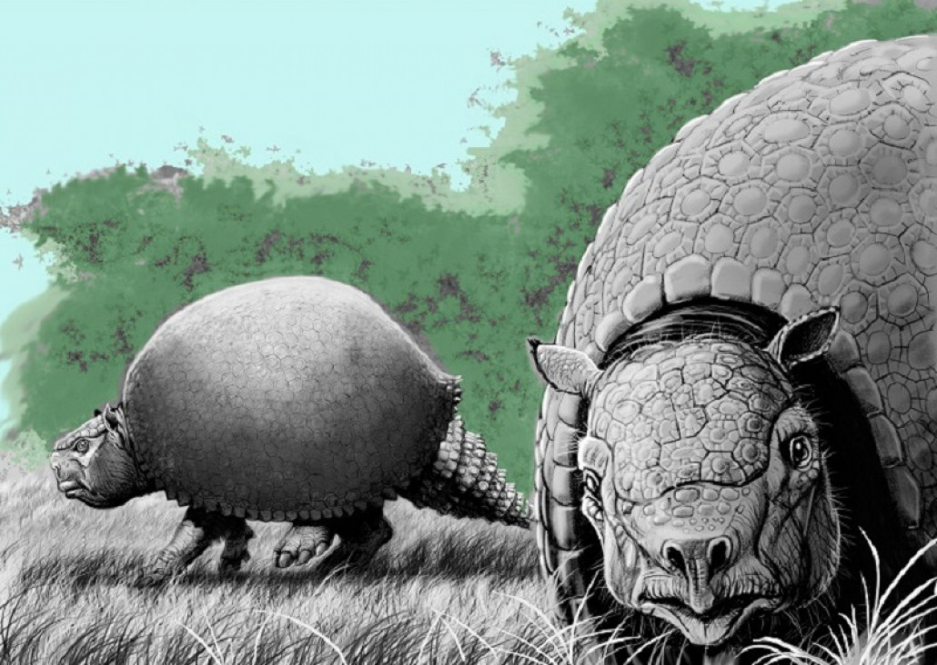 imagen Extinción de la megafauna: la humanidad tuvo mucha más intervención de la que se creía 