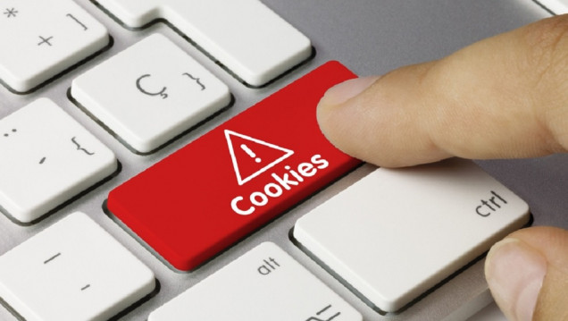 imagen En Argentina, el 42% de las personas acepta "cookies" en sitios web sin saber qué son