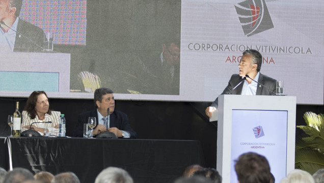 imagen Anuncios millonarios para el sector vitivinícola