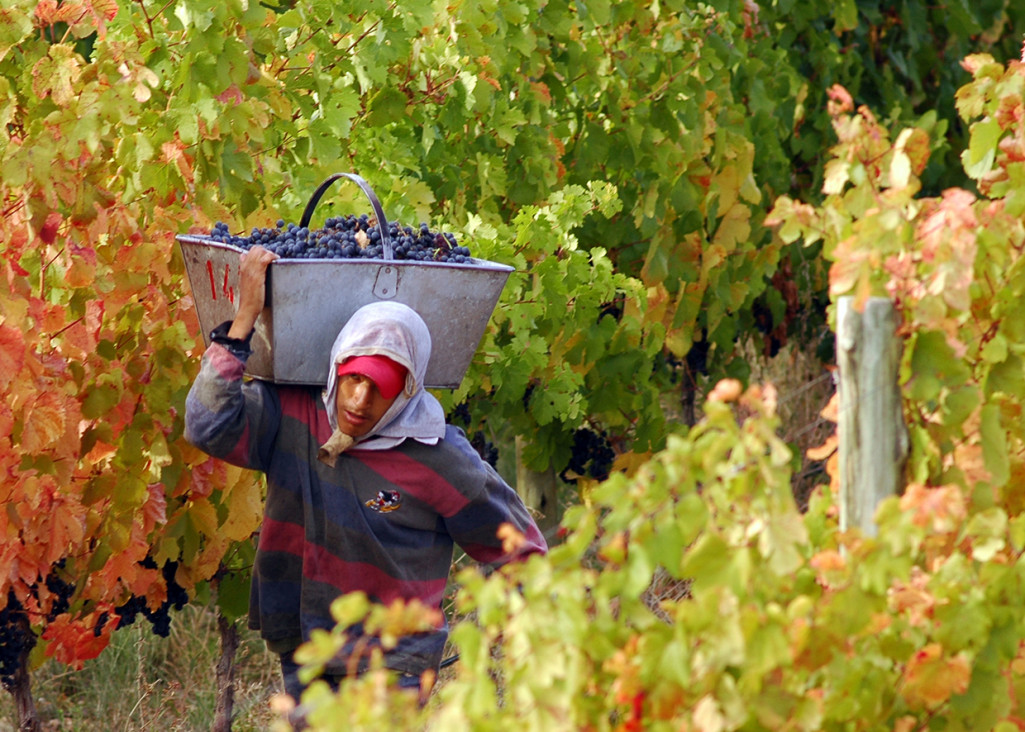 imagen En Buenos Aires ya hablan de la "Resolución 125 del vino"
