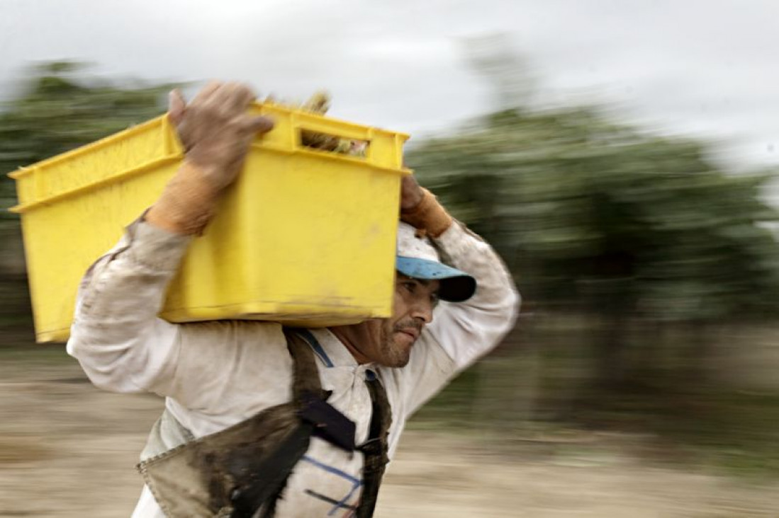 imagen Mendoza está entre las provincias que más productos vendieron al exterior