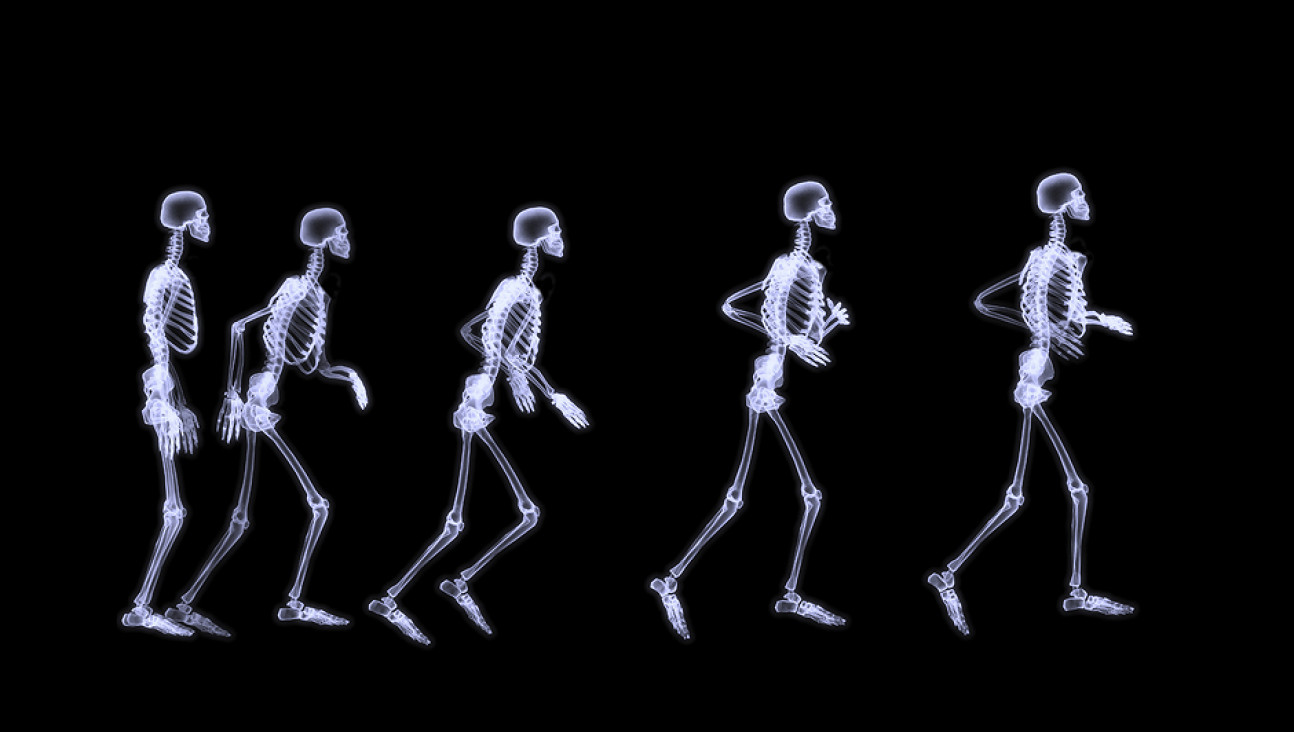 imagen Es posible regenerar tejidos