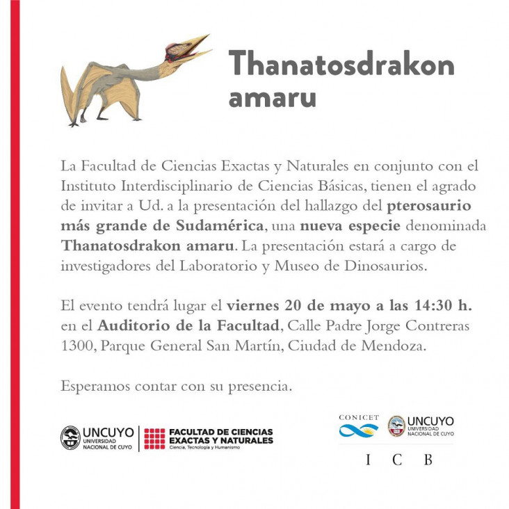 imagen Hallaron en la Patagonia una rara especie de dinosaurio