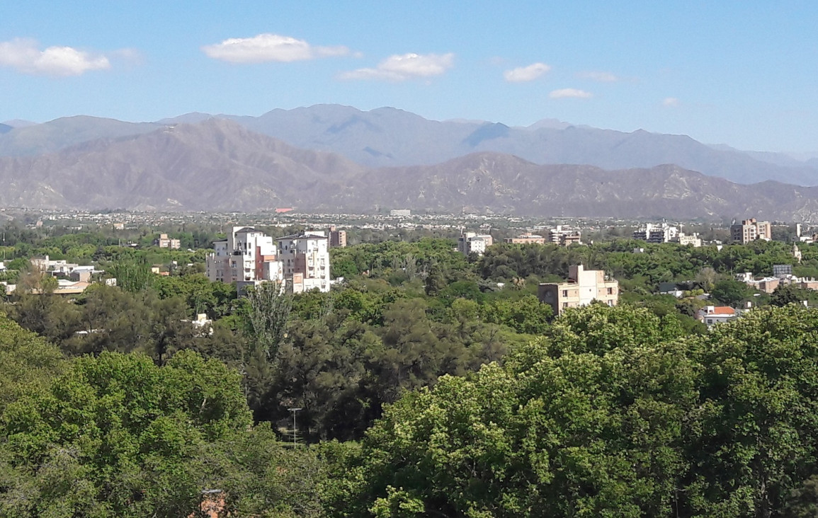 imagen En el Área Metropolitana de Mendoza hay 1 árbol cada 2 personas