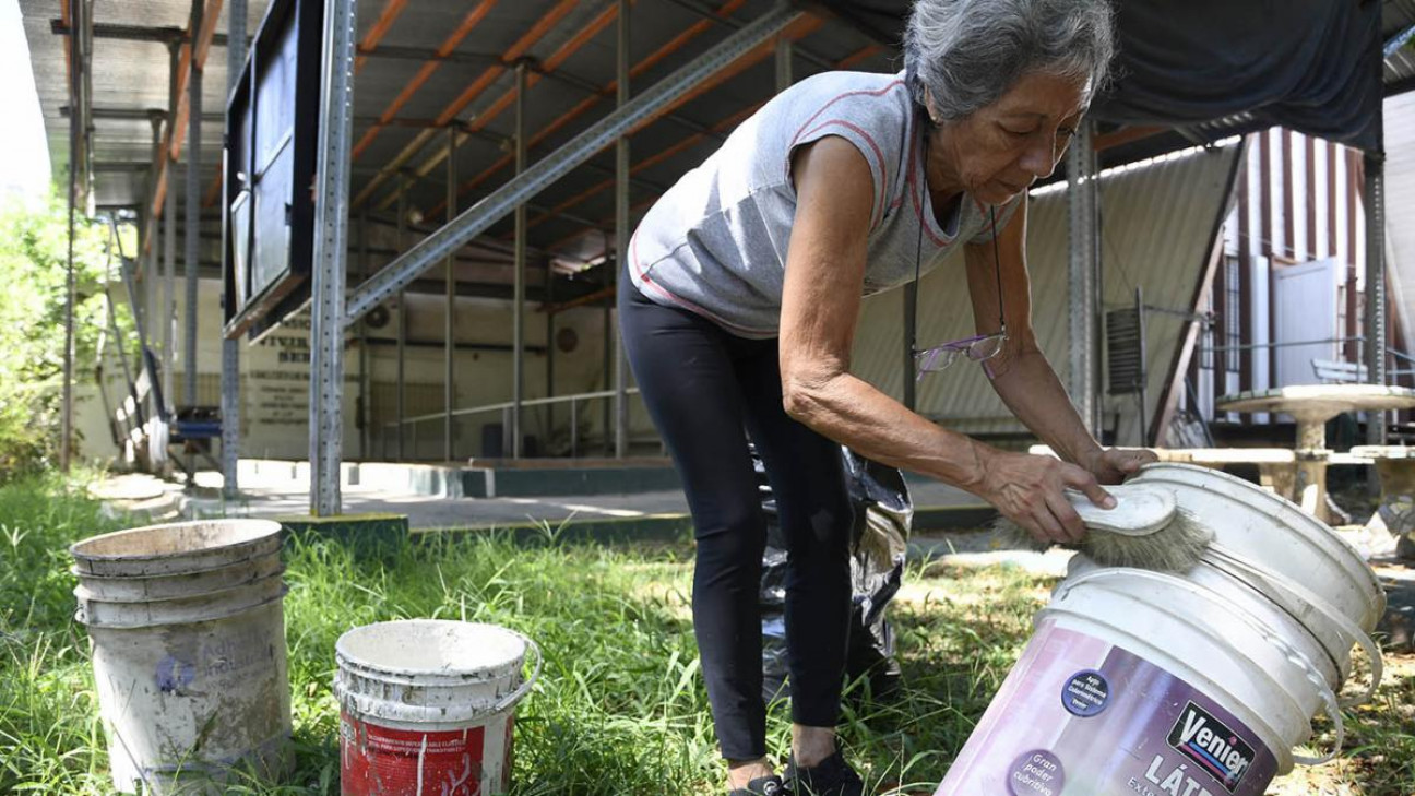 imagen Se registraron 117 casos de dengue en Mendoza y pidieron respetar medidas preventivas