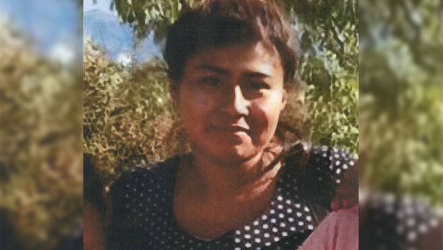 imagen Buscan a Dana Durán