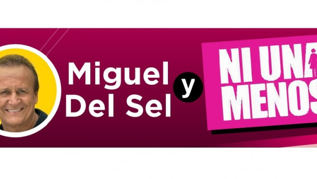 imagen ¿Cuánto influyó la marcha #NiUnaMenos en la derrota de Del Sel?
