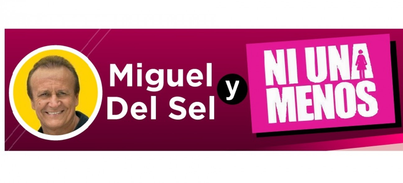 imagen ¿Cuánto influyó la marcha #NiUnaMenos en la derrota de Del Sel?
