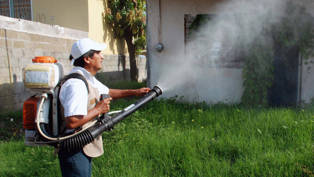 imagen Mapa: los casos de dengue por provincia