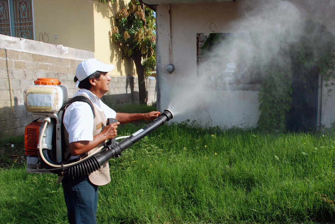 imagen Mapa: los casos de dengue por provincia