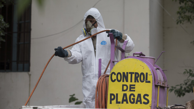 imagen Confirman el primer caso de zika en la provincia