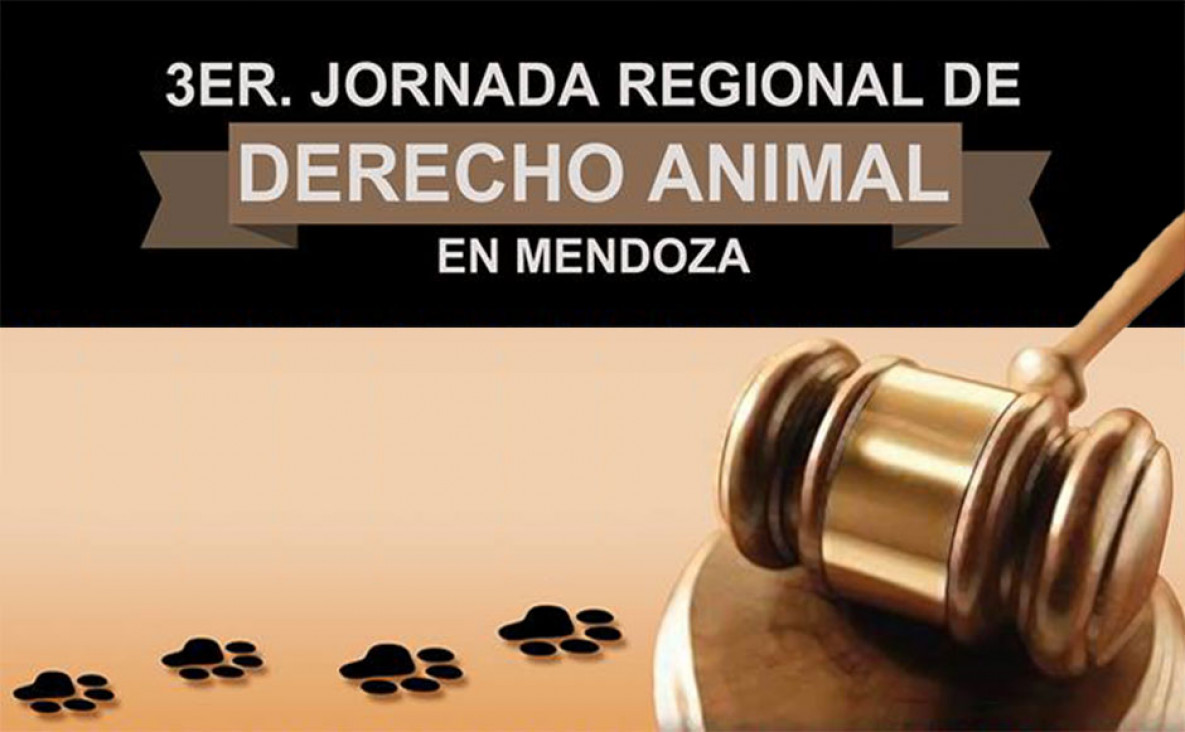 imagen Abogados debaten sobre los derechos de los animales