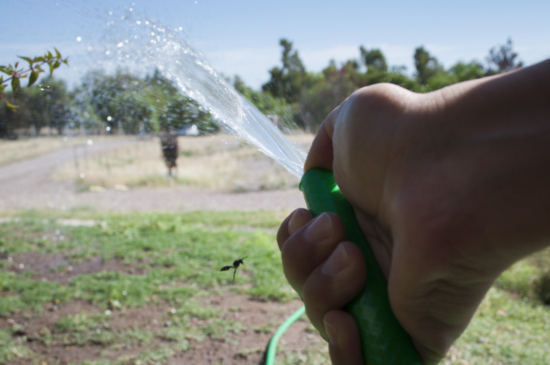 imagen 20 millones de dólares por derroche de agua