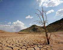 imagen Bases para mitigar el cambio climático en Mendoza