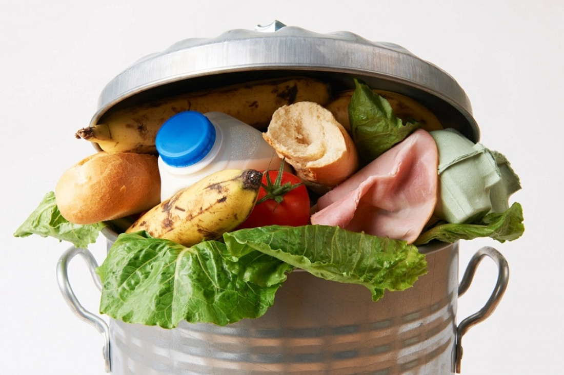 imagen Mientras 811 millones pasan hambre, el mundo desperdicia el 17 % de los alimentos que produce