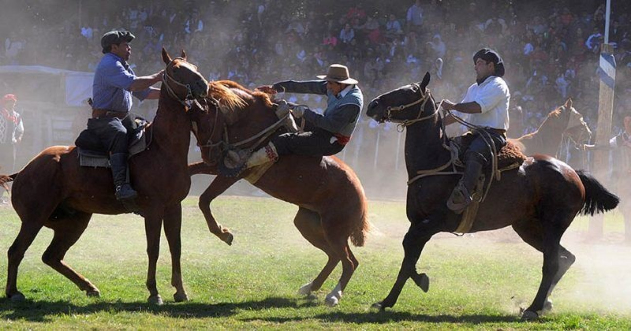 imagen Día del Animal: repudian el proyecto que busca declarar a las destrezas criollas como deporte provincial