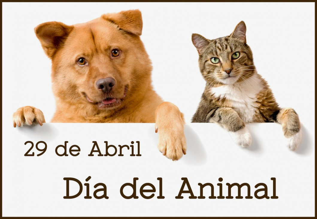 imagen Día del Animal: una agenda cargada de actividades para este sábado