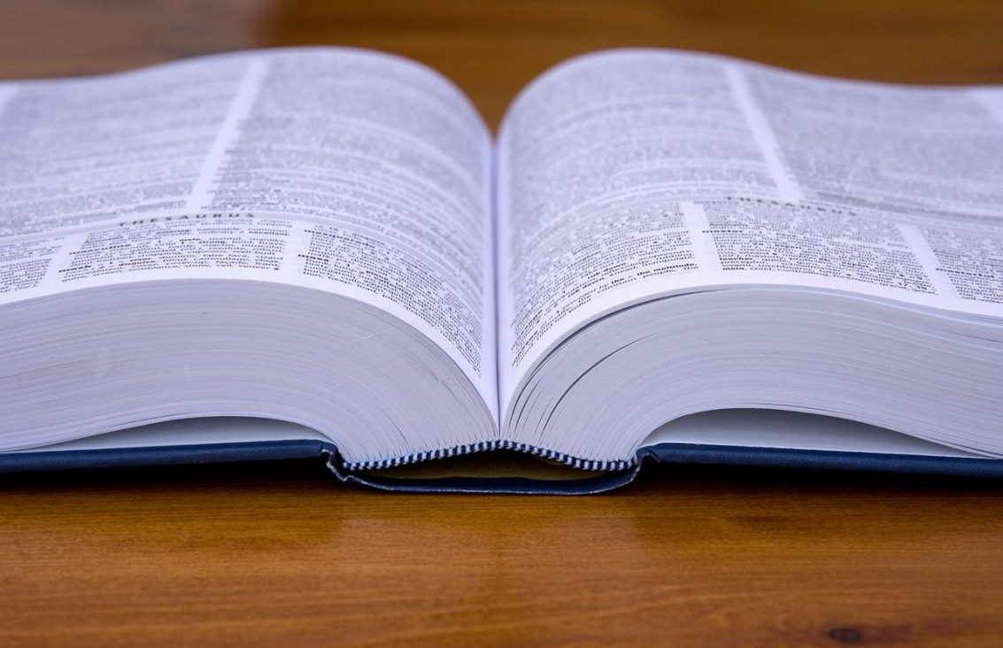 imagen La RAE estudia incluir la palabra "machirulo" en su diccionario
