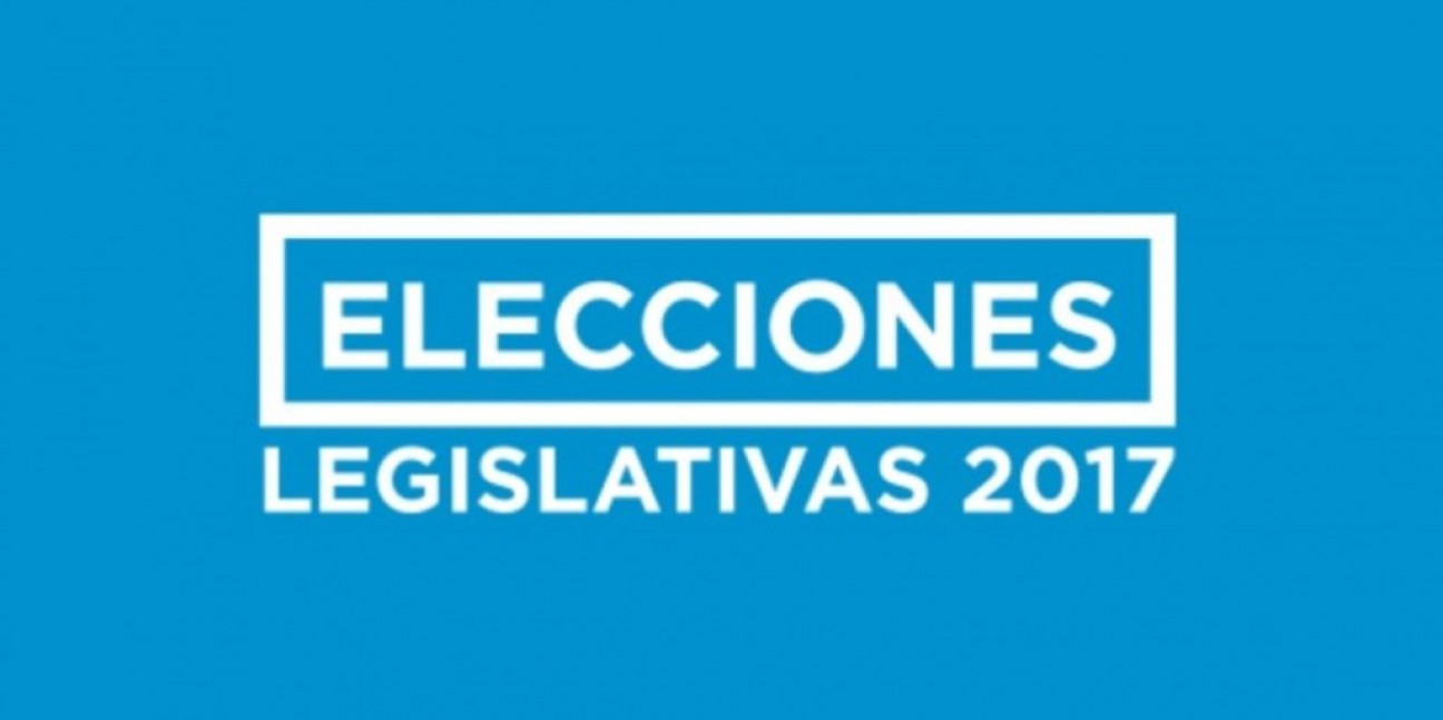imagen Acá podés ver los resultados oficiales de las elecciones legislativas