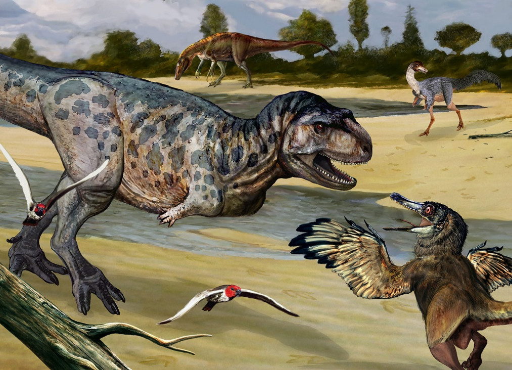 imagen Descubrieron una nueva especie de dinosaurio depredador en Neuquén