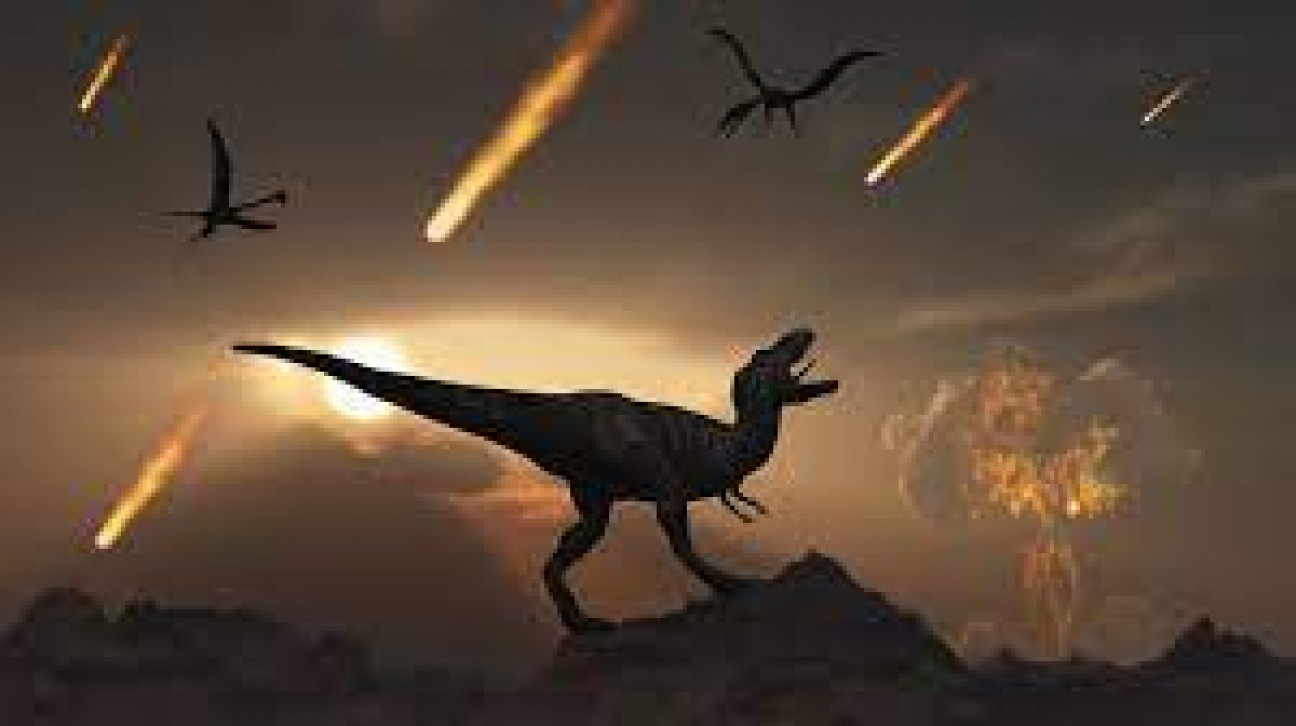 imagen Siguen hallando restos de dinosaurios increíbles en la Patagonia: descubren un feroz carnívoro