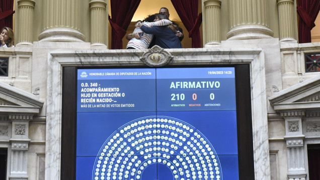 imagen Síndrome de Down: es ley el diagnóstico humanizado
