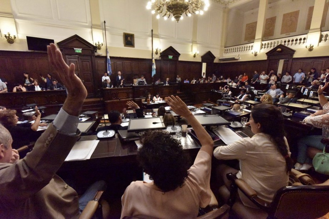 imagen Avance en Diputados para permitir la venta de misoprostol