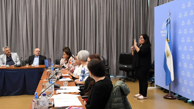 imagen Discapacidad: al menos 400 casos de derechos vulnerados por año